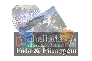 Plantas: imagem 11 de 15
